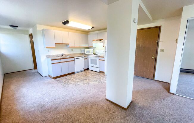 Studio, 1 bath, 413 sqft, $1,395, Unit 410