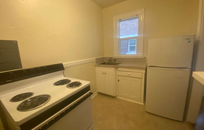 Studio, 1 bath, 385 sqft, $1,049, Unit 207