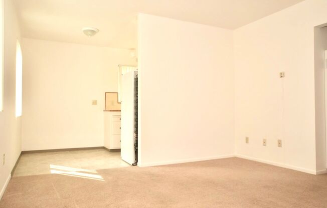 1 bed, 1 bath, $2,195, Unit 1058 1/2 Felspar Street