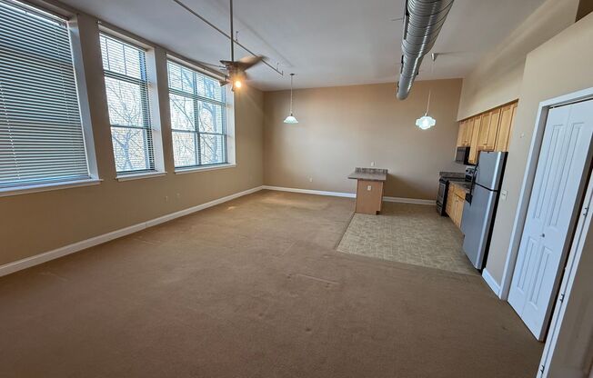 1 bed, 1 bath, 588 sqft, $1,095, Unit Apt 302