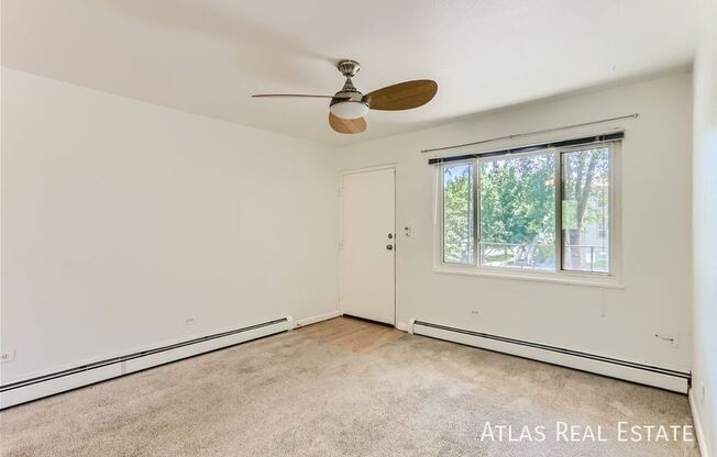 317 REMINGTON ST