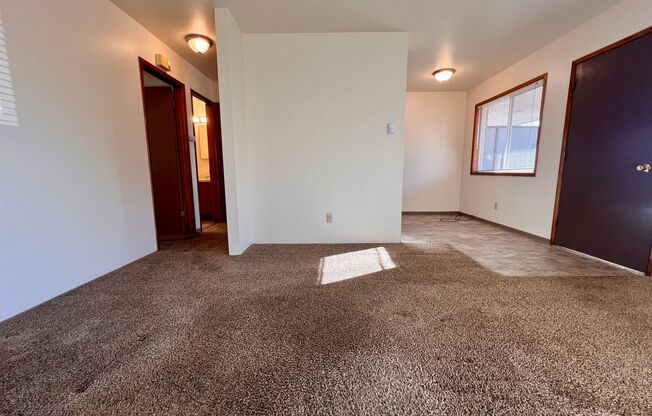 1 bed, 1 bath, 600 sqft, $925, Unit N-1