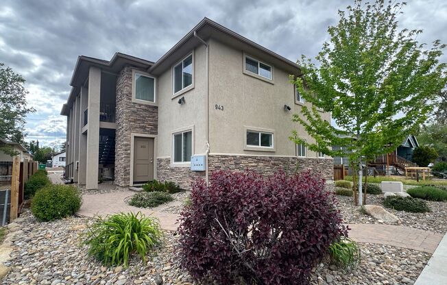 943 Ralston - TENANT PLACEMENT
