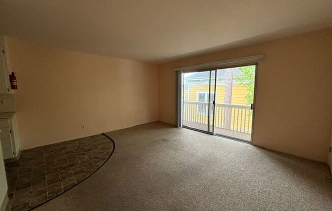 1 bed, 1 bath, $2,600, Unit unit 5