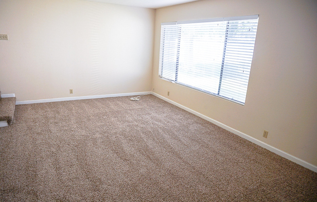 Lovely 2 Bedroom 1.5 Bathroom Condo in Orange