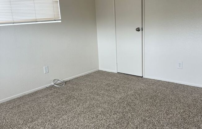 1 bed, 1 bath, $1,575