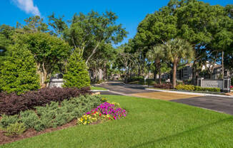 The Oasis at Wekiva