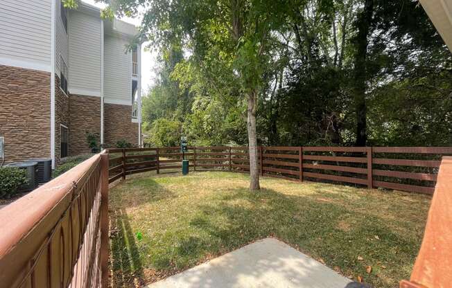 a backyard with a wooden fence and a yard with a tree