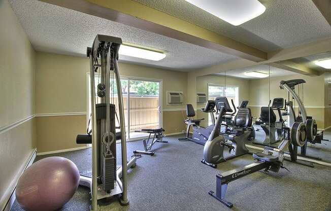 Fitness Center Strength and Conditioning Equipment at Aviana, Mountain View, California