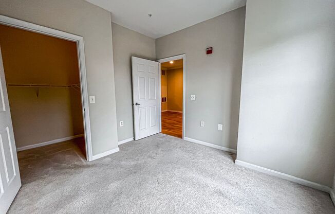 1 bed, 1 bath, $1,800, Unit UNIT 308