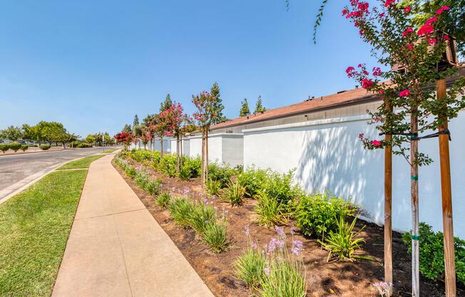 Street View Outside Community.jpg