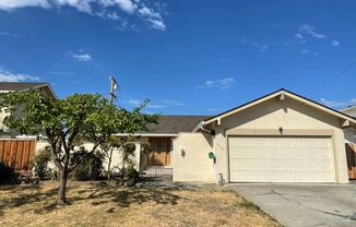 1445 Shaffer Dr