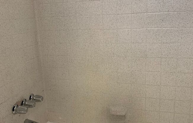 Studio, 1 bath, 450 sqft, $1,450, Unit 218