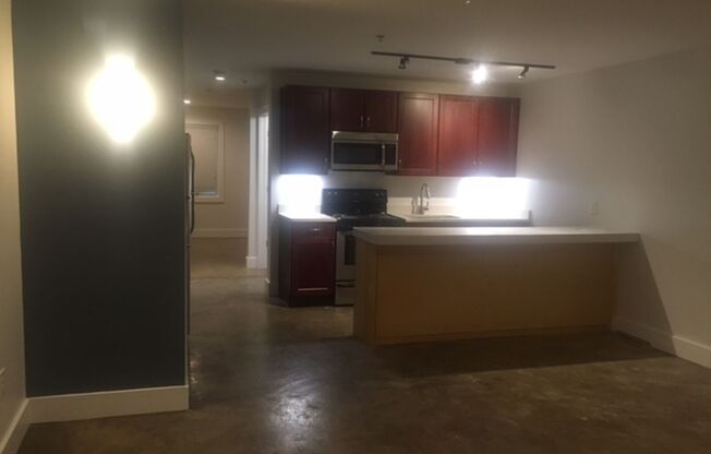 1 bed, 1 bath, 465 sqft, $1,165, Unit Apt 119