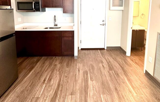 Studio, 1 bath, 250 sqft, $1,395, Unit 0301
