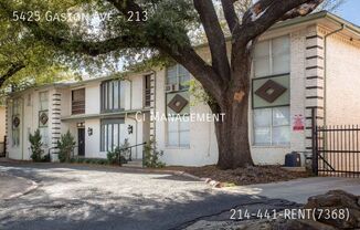 5425 Gaston Ave Apt 112