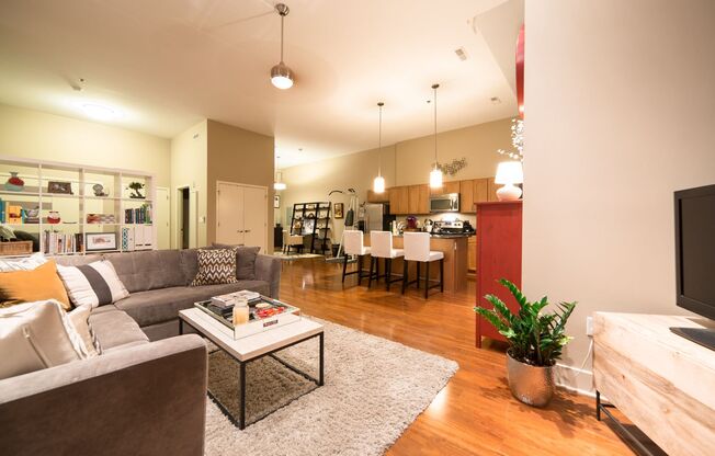 1 bed, 1 bath, 800 sqft, $1,500, Unit 307