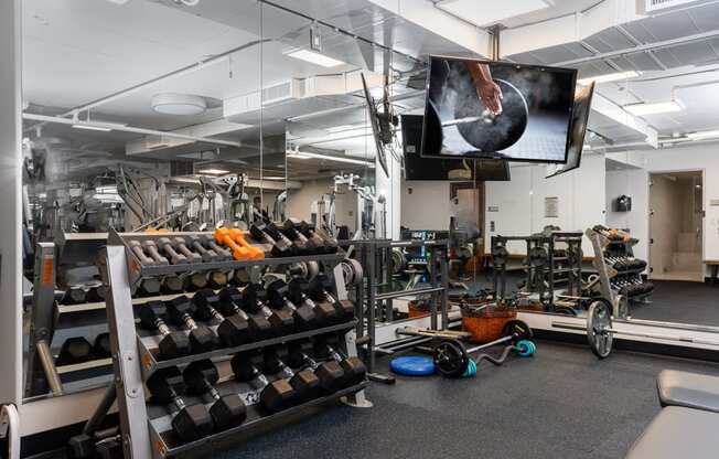 a gym with weights and a tv on the wall