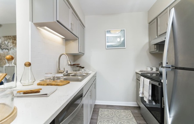 Newly renovated apartment with fully-equipped kitchen including dishwasher