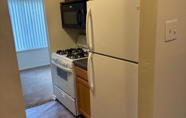 1 bed, 1 bath, 715 sqft, $1,600, Unit 00 - A- 4