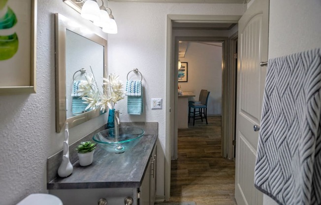 Bathroom in the Retreat at Indian Lake one bedroom apartment in Hendersonville with glass basin sink on large vanity.