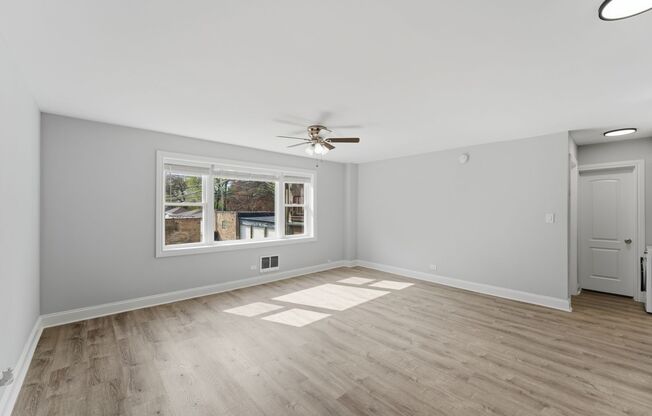1 bed, 1 bath, 485 sqft, $1,750, Unit 203