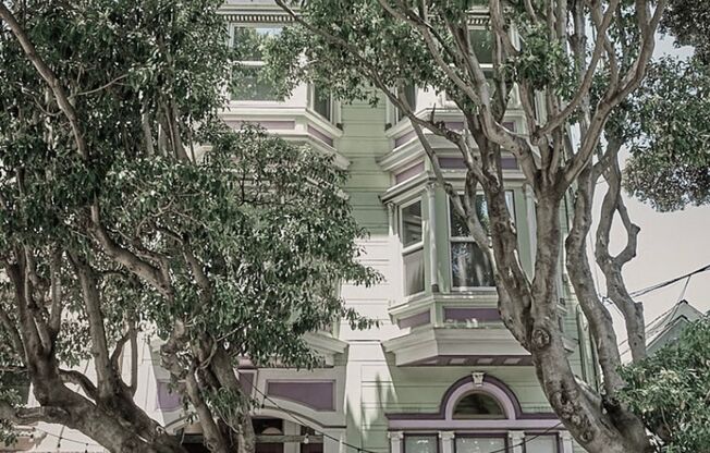 Mission Dolores: Top Floor 3 or 4 Bedroom Remodeled Flat w/ Views + Bonus Room + Shared Yard