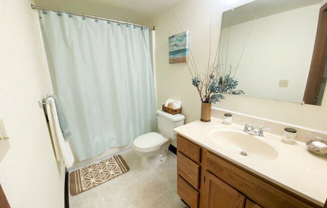 Bathroom in Crown Pointe Apartments Holland MI
