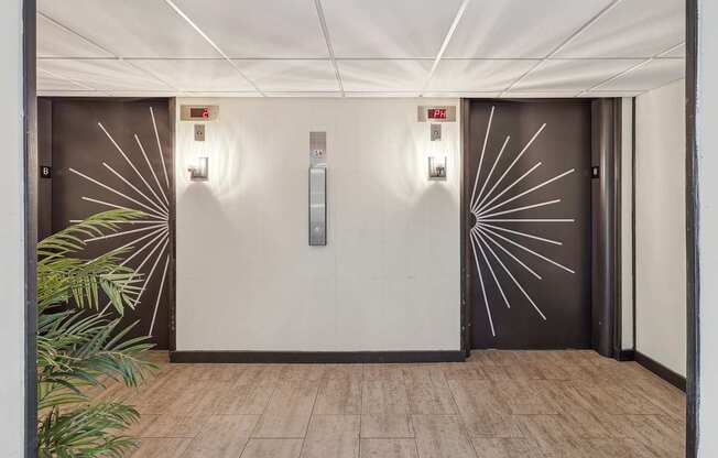 A white wall with two elevators and a plant on the left.