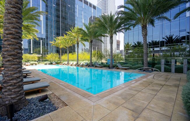 Studio, 1 bath, $2,195