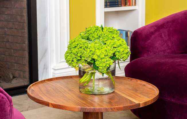 Plant On A Table at Park Kennedy, Washington, DC, 20003