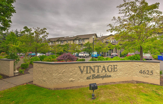 Embrace Comfort in Bellingham