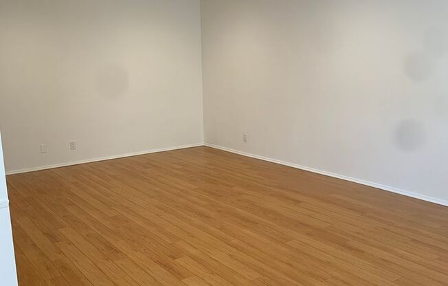 165 Almont