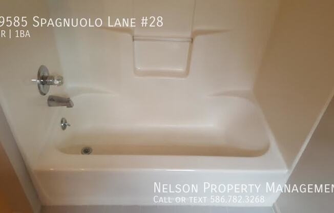19585 SPAGNUOLO LN
