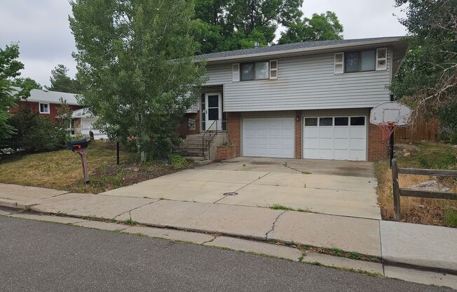 4 Bedroom Single Family Home in Loveland