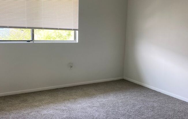 2 beds, 1 bath, $1,200