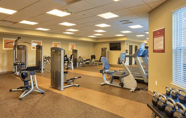 Fitness Center at Solace Apartments in Virginia Beach  23464