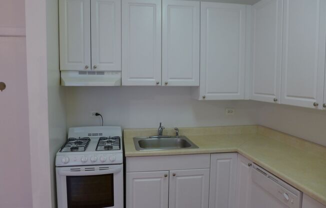 1 bed, 1 bath, 625 sqft, $1,450, Unit 309