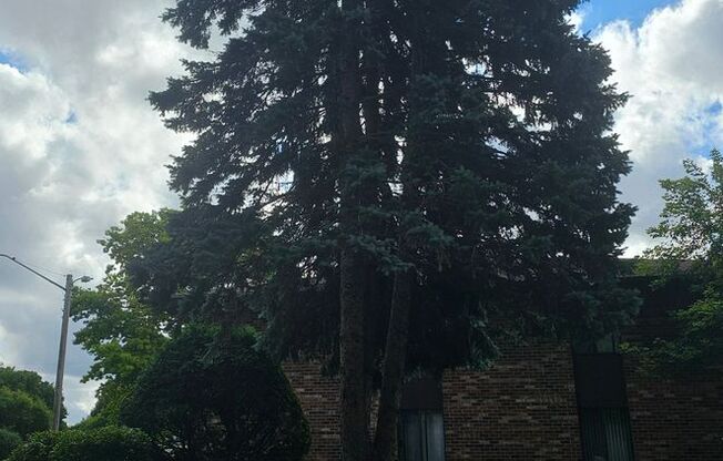 2 beds, 1 bath, 970 sqft, $1,149, Unit FB   2097