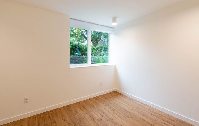 Studio, 1 bath, 246 sqft, $1,200, Unit 01