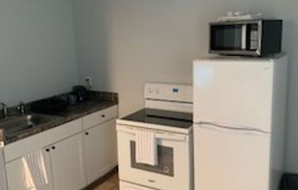 Studio, 1 bath, $850, Unit 115