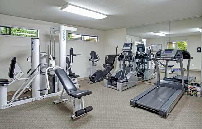 A gym with a variety of equipment including treadmills, stationary bikes, and weight machines.