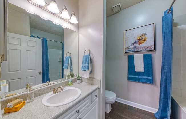 Evergreen Lenox Park Apartments bathroom