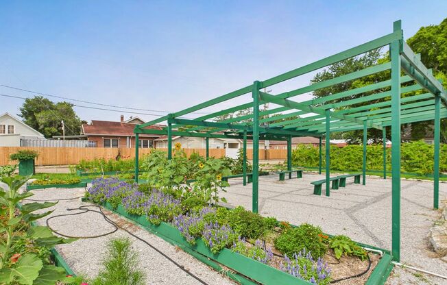 4 Bedroom Home Near UL!