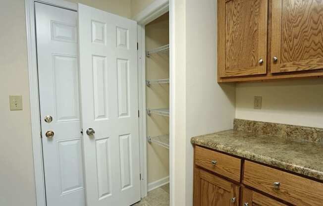 Kitchen pantry next to cabinets