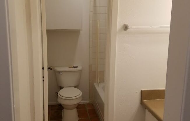 Studio, 1 bath, 450 sqft, $710, Unit *505