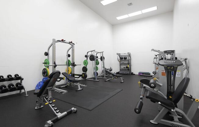 A modern gym space featuring various exercise equipment. It includes a weight bench, squat rack with weight plates, dumbbells on a rack, and a multi-station machine. The room has a black rubber floor, bright lighting, and white walls, creating a clean and functional workout environment.