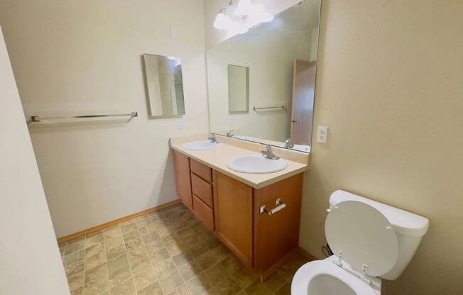 Studio, 1 bath, 383 sqft, $1,150, Unit 304