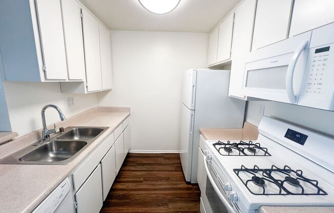 1 bed, 1 bath, 646 sqft, $1,895, Unit 0202