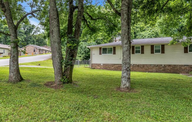 AVAILABLE NOW. 2 Bed 1 bath FOR LEASE in South Inglewood (East Nashville). $1700 Rent. Pets allowed. Walk to Shelby Bottoms Park Trailhead.